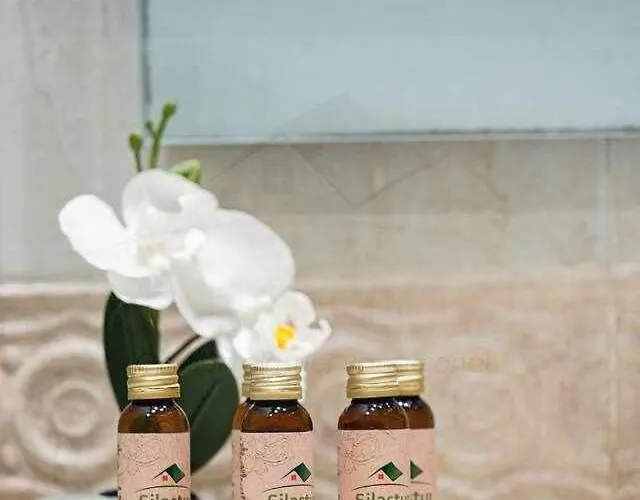 Appartement Avientu By Silastur